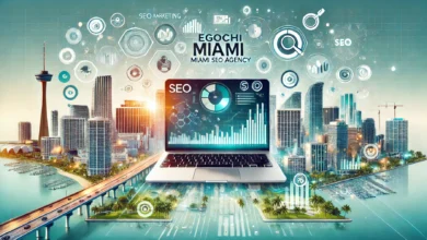 egochi miami seo agency